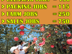 Farm and Other Jobs in England