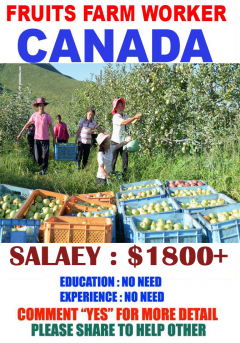 Fruit Farm Jobs in Canada