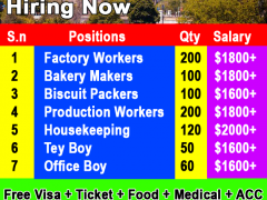 Biscuit Packer Jobs in Canada