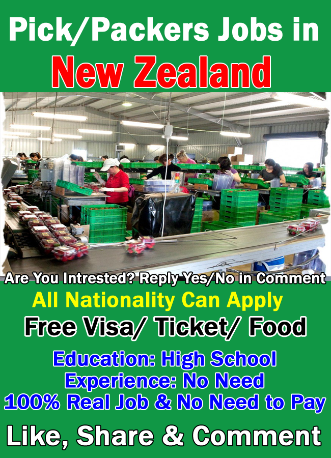 Packers Jobs in New Zealand