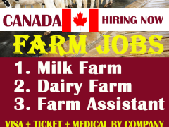 Farm Jobs in Canada With Free Visa Sponsorship