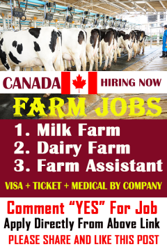Farm Jobs in Canada With Free Visa Sponsorship