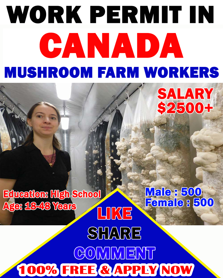 Mushroom Farm Worker Jobs in Canada