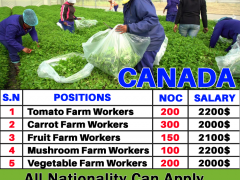 Farm Jobs in Canada