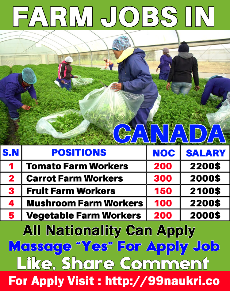 Farm Jobs in Canada
