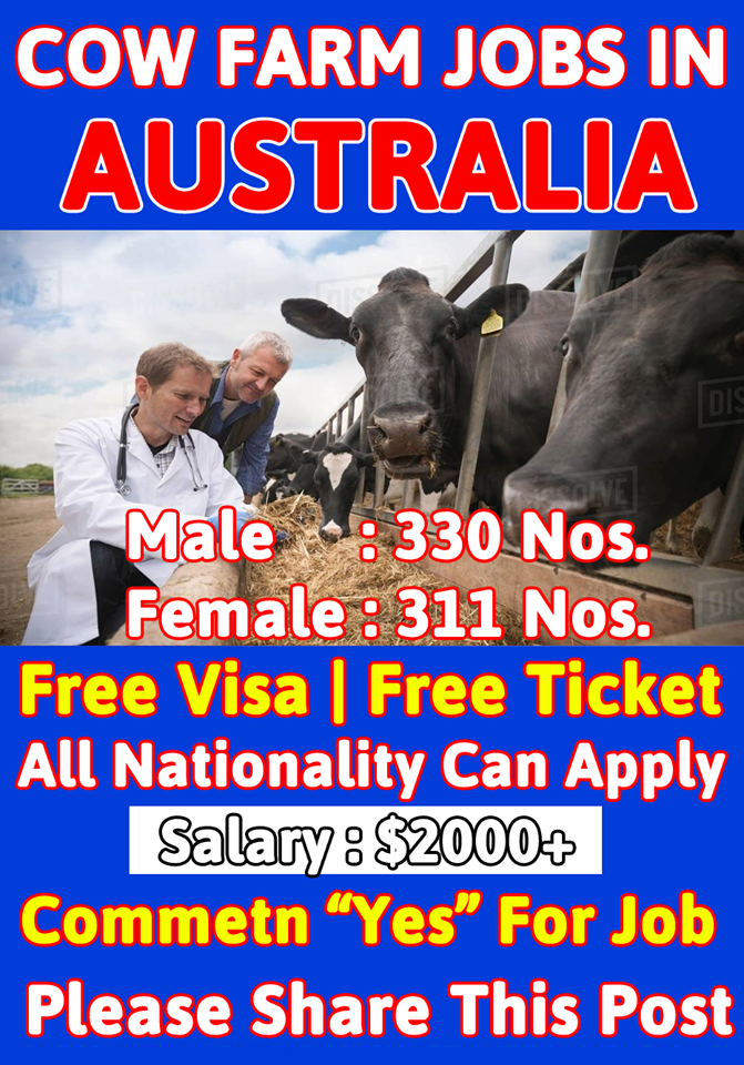 Dairy Farm Jobs in Australia