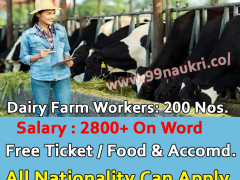 Dairy Farm Worker Hiring New Zealand
