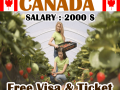 Fruit Farm Worker Job in Canada