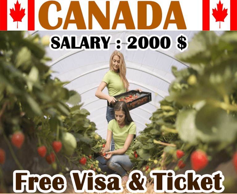 Fruit Farm Worker Job in Canada
