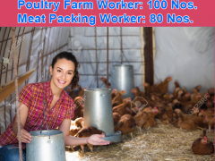 Poultry Farm Worker Jobs In Canada| Apply Now 2021