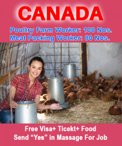 Poultry Farm Worker Jobs In Canada| Apply Now 2021