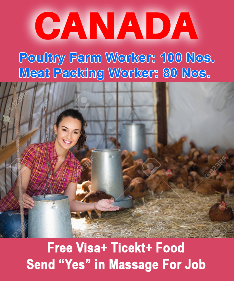 Poultry Farm Worker Jobs In Canada With Visa Sponsorship