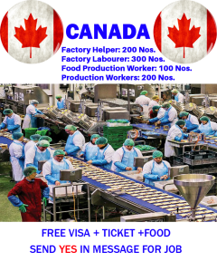 Factory Worker Job Hiring in Canada