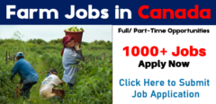 Farm jobs in Canada for foreigners| Urgent 2021