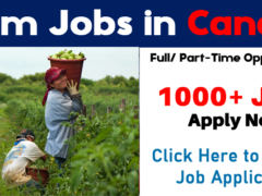 Farm jobs in Canada for foreigners| Urgent 2021