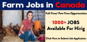 Farm Jobs in Canada For Foreigners | Urgent Required 2021