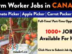 farm worker jobs