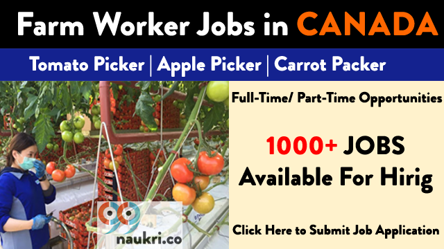 farm worker jobs 