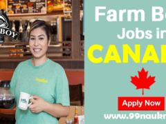 Farm Boy Jobs in Canada