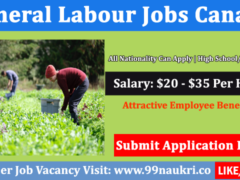 General Labour Jobs Toronto