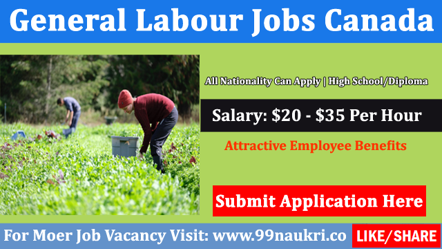 General Labour Jobs Toronto