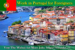 Work in Portugal for Foreigners
