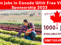 Farm Jobs in Canada With Free Visa Sponsorship 2023