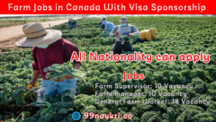 Farm Jobs in Canada With Visa Sponsorship