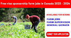 Free visa sponsorship farm jobs in Canada 2023 2024