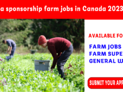Free visa sponsorship farm jobs in Canada 2023 2024