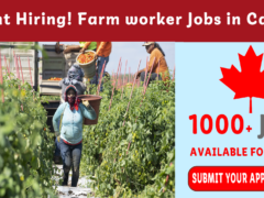 Urgent Hiring! Farm worker Jobs in Canada