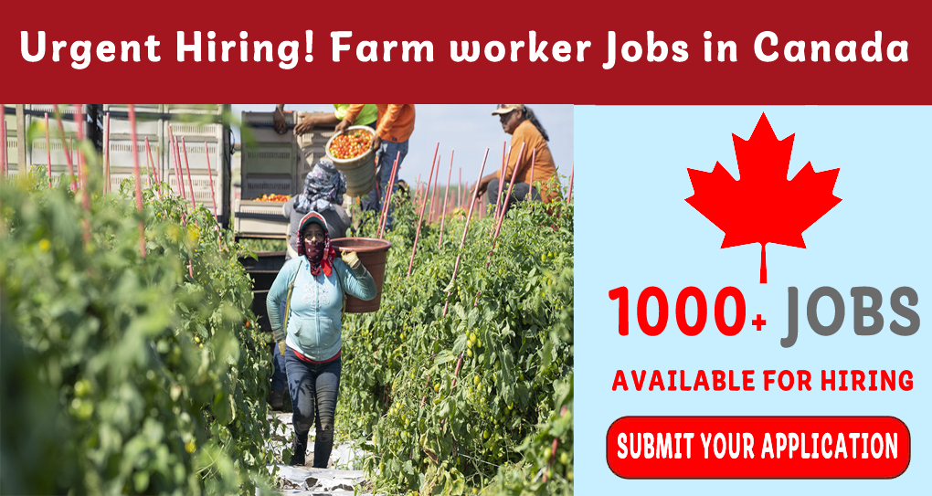 Urgent Hiring! Farm worker Jobs in Canada