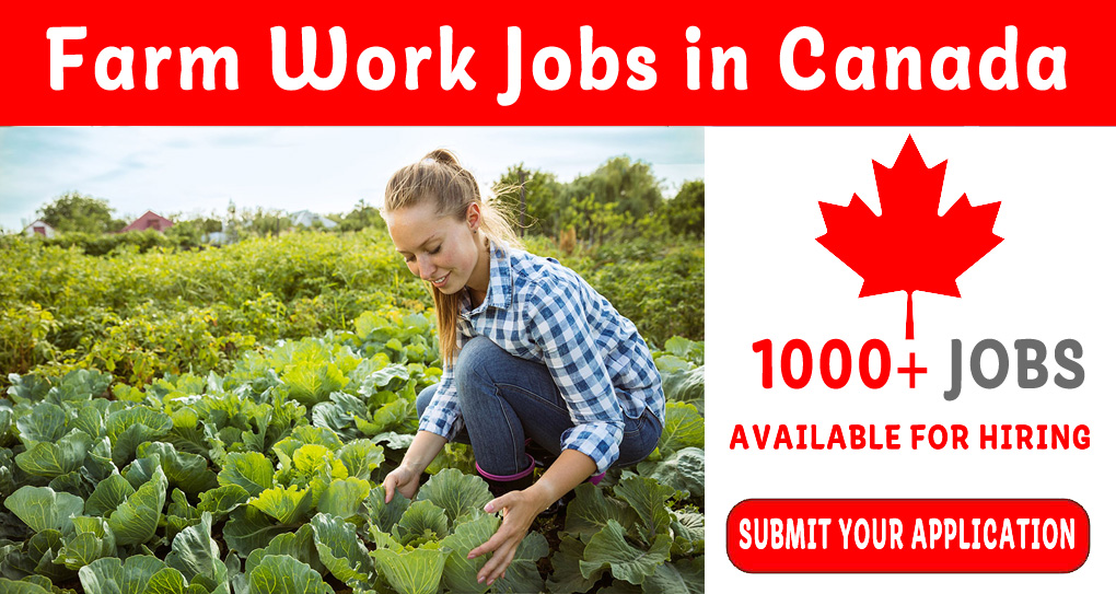 Farm Work Jobs in Canada