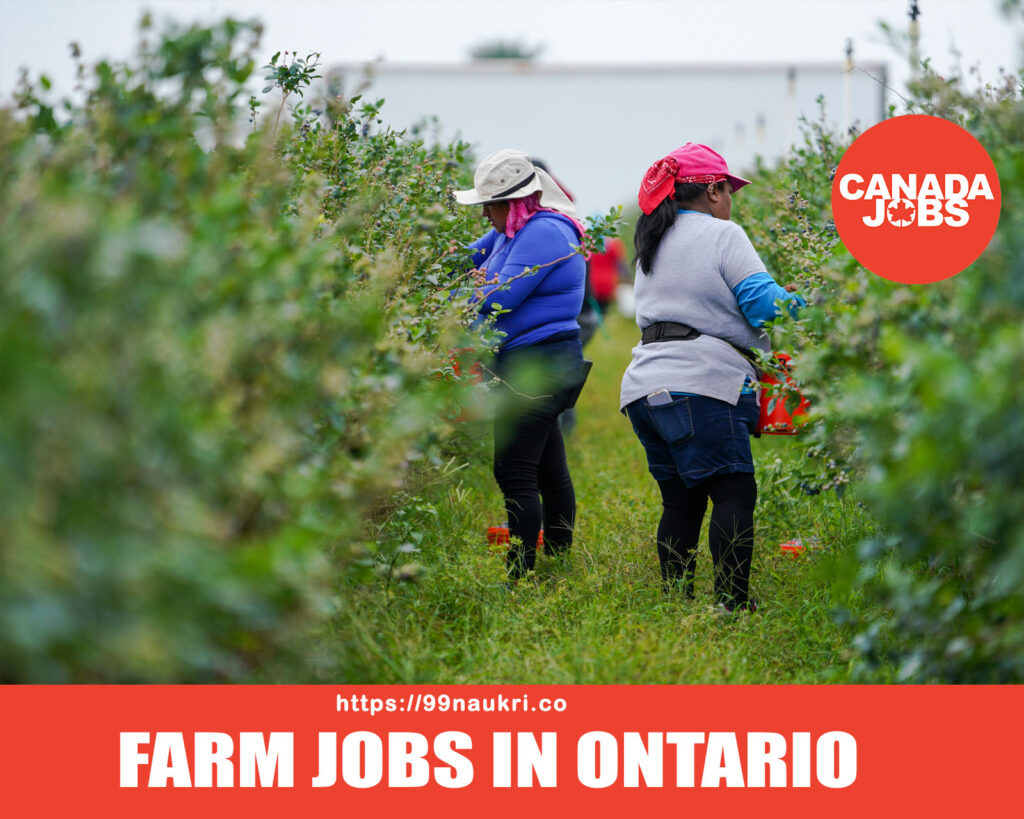 Farm jobs in Ontario