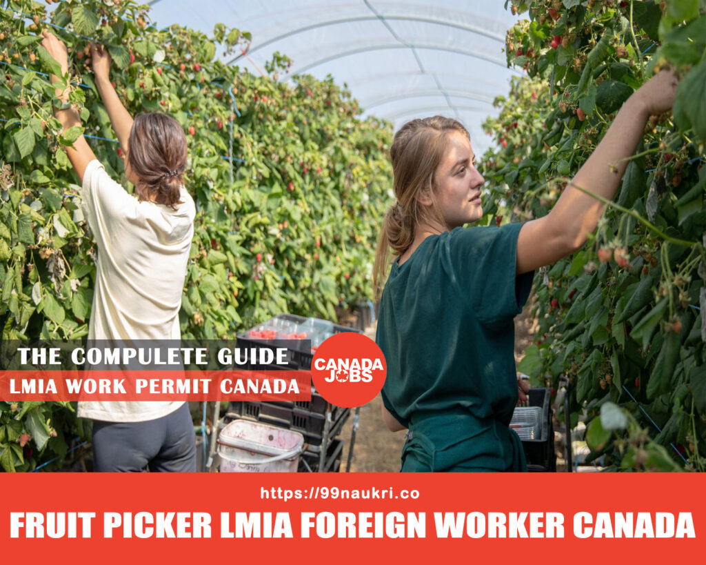 Fruit Picker LMIA Foreign Worker Canada