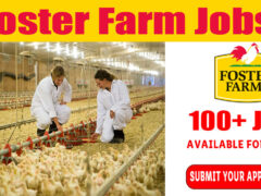 Foster Farm Jobs