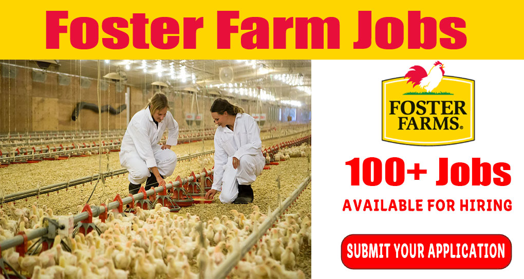 Foster Farm Jobs