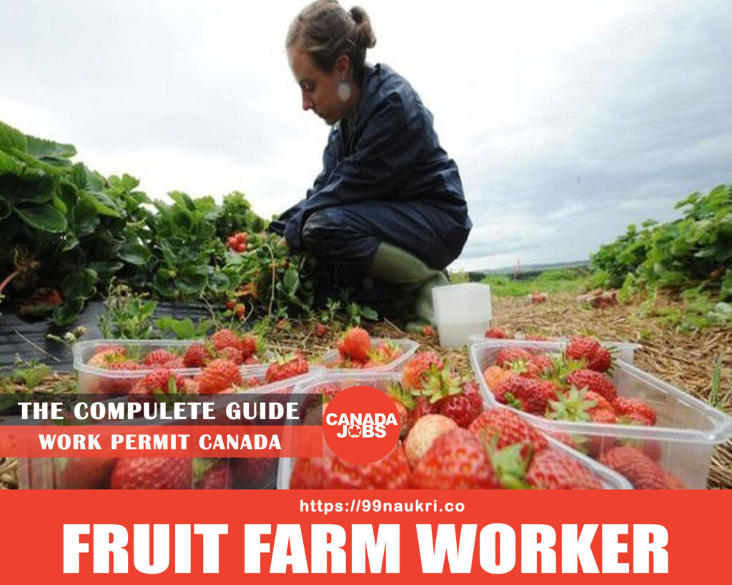 Fruit Farm Worker