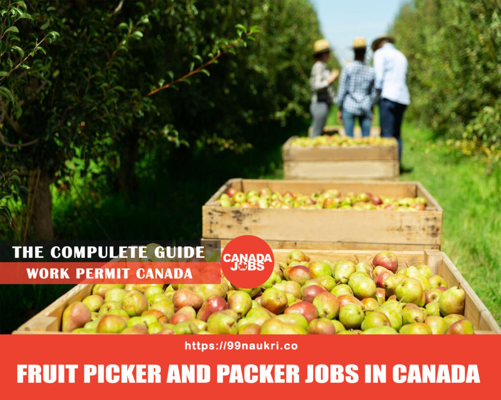 Fruit Picker and Packer Jobs in Canada
