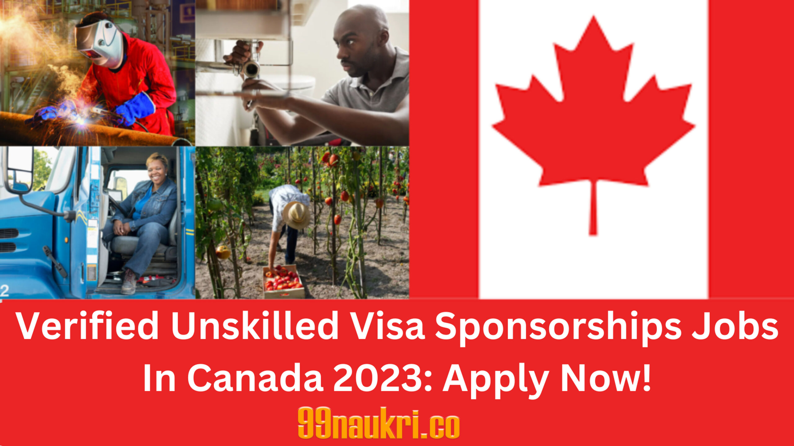 Unskilled Jobs in Canada With Visa Sponsorship