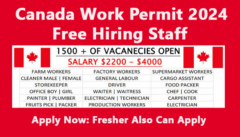 Top Entry Level Jobs in Canada 2024 Apply Now