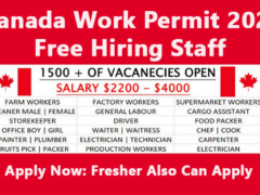 Top Entry Level Jobs in Canada 2024 Apply Now