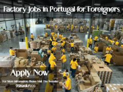 Factory Jobs in Portugal for Foreigners
