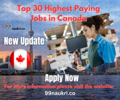 Top 30 Highest Paying Jobs in Canada