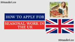 How to Apply for Seasonal Work in the UK