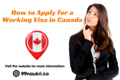 How to Apply Working Visa in Canada