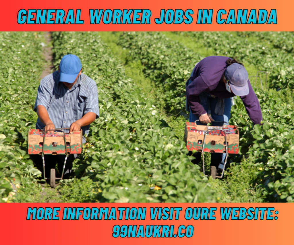 General Worker Jobs in Canada