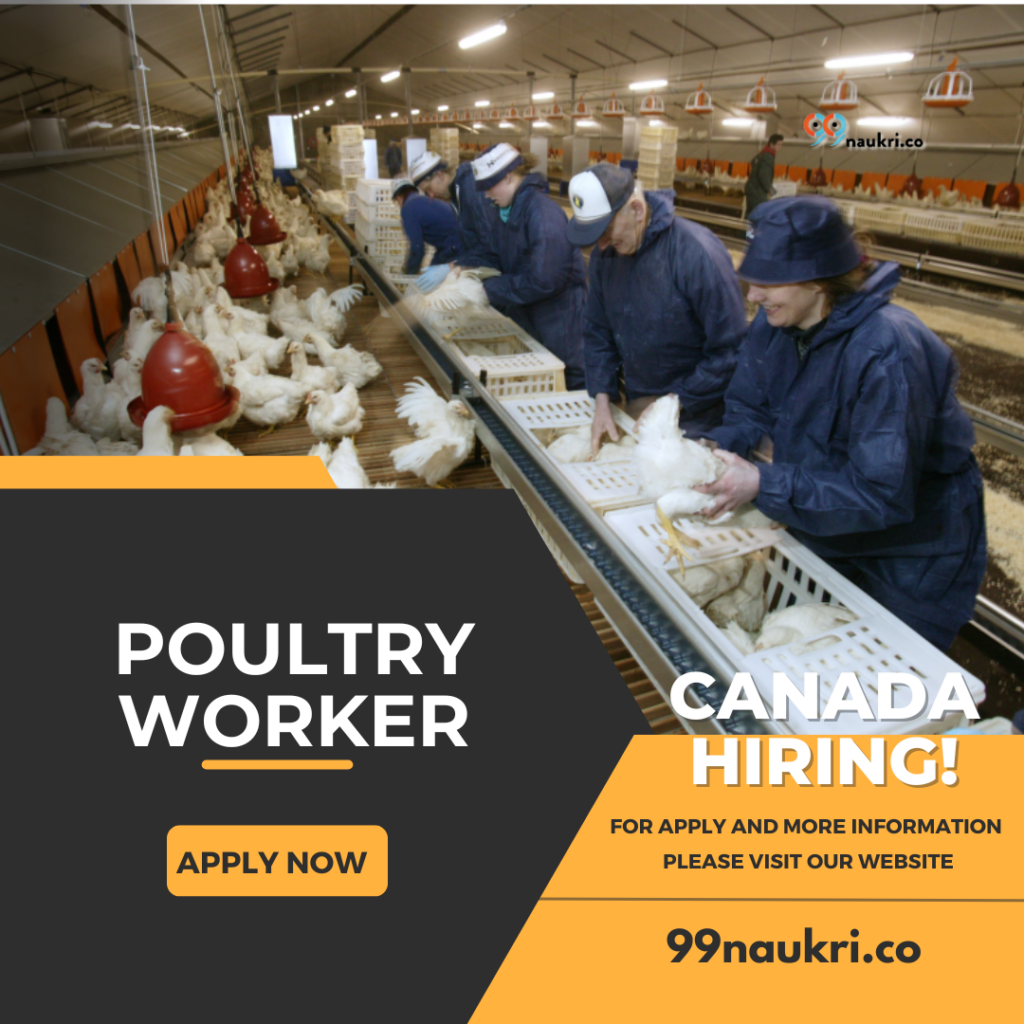 Poultry Worker Jobs in Canada