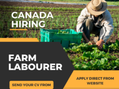 Farm Labourer Jobs in Canada