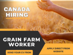 Grain Farm Worker Jobs in Canada